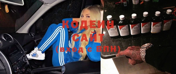ешки Алзамай