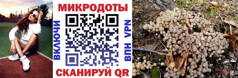 цены   Старая Купавна  даркнет как зайти  Псилоцибиновые грибы Cubensis 
